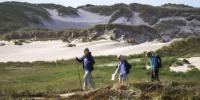 Vandretur i klitheden i Danske Naturparker