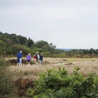 Familie går tur i klitområde i Naturpark Vesterhavet